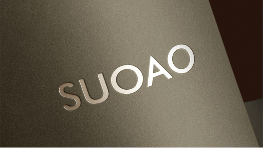 门业品牌所奥：匠心雕琢，开启家居美学新境界